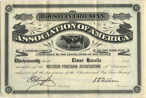 Elmer joined the Jolstein - Fresian Association of America in 1916