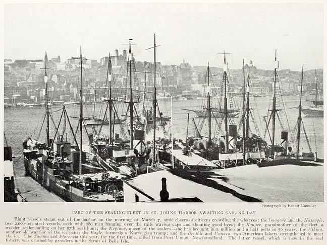 St. John's sealing fleet lined up ready to go