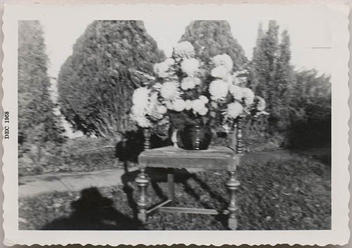 Della vase of large flowers