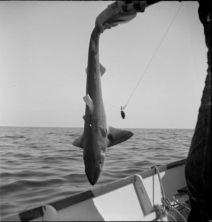 1942 Margaret, James Sr. Bertha and Carol Parsons