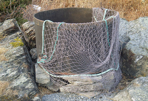 Barking pot on the Freshwater shoreline trail