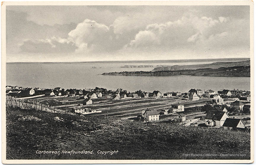 Small farms in Carbonear, Newfoundland