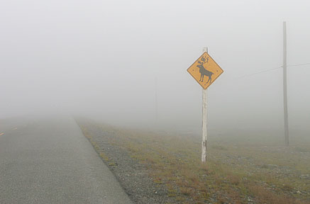 caribou sign