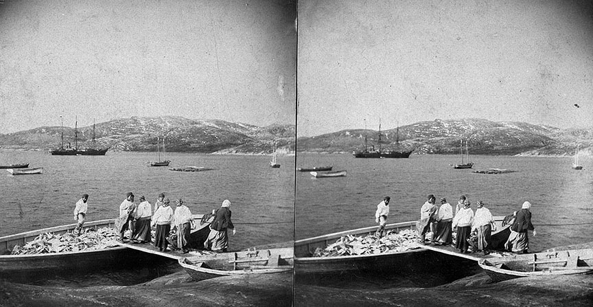 1888 ship stereoview