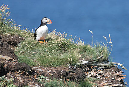 look out over the sea