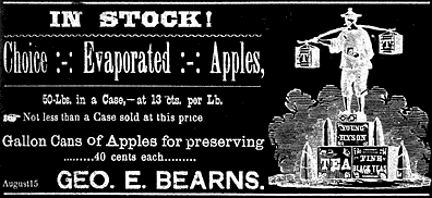 1888 St. John's Mercury ad