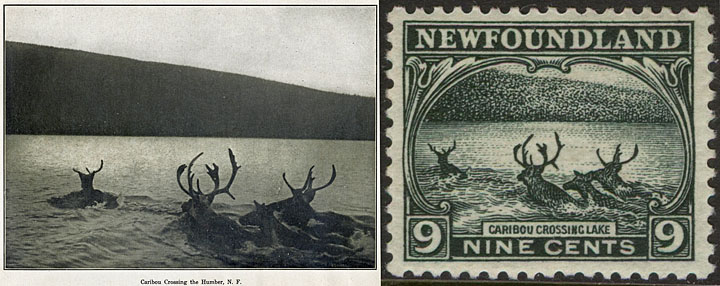 caribou stamp