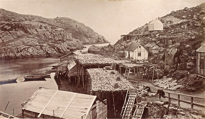 S. H. Parsons photo Quidi Vidi