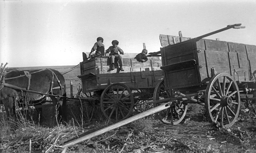 kids in the wagon