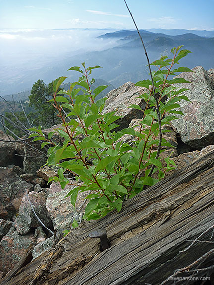 Morrison Incline July 29, 2013