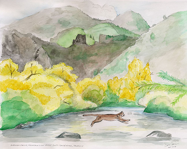 Leaping across the river, a mountain lion stretches out with his long tail in tow.