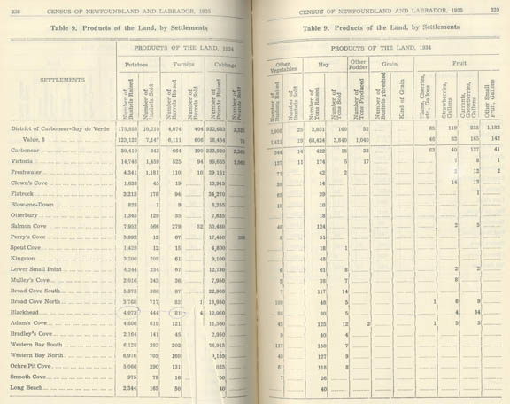1935 Newfoundland town census - products