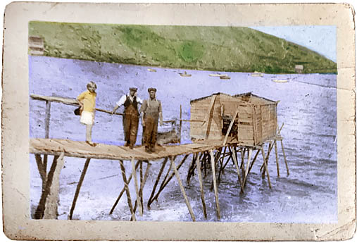 Mabel, Alex and Hedley Parsons on Clown's Cove stage.