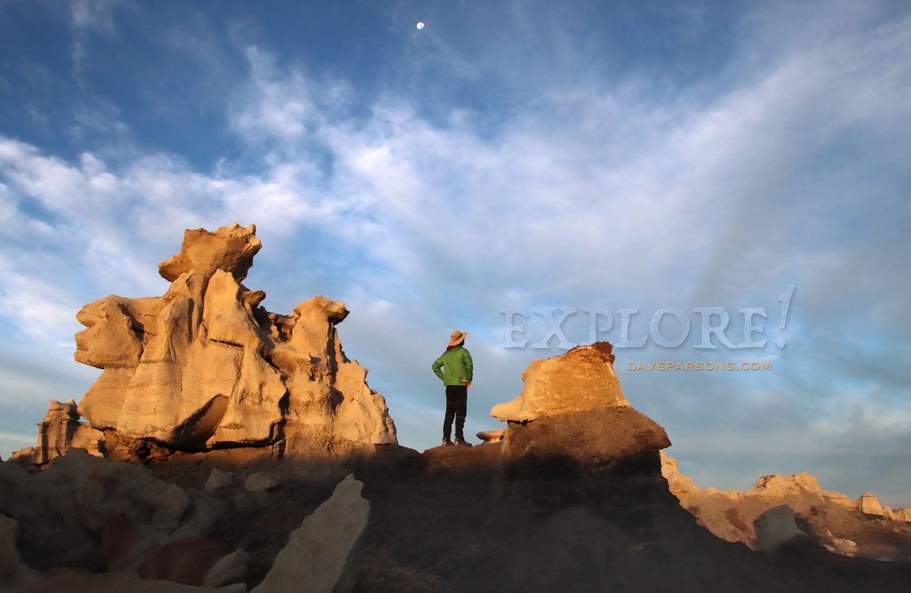 Dave Parsons Photography