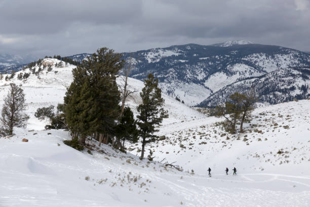 With winter storm clouds overhead, a trio of people snowshoe on the snow covered Blacktail Deer Plateau, Yellowstone National Park Wyoming.